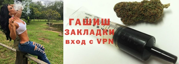 шишки Няндома