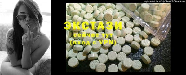 шишки Няндома