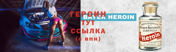 шишки Няндома