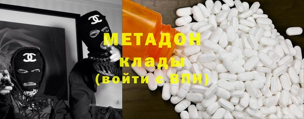 шишки Няндома