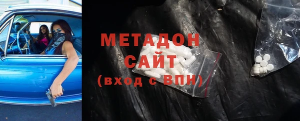 шишки Няндома