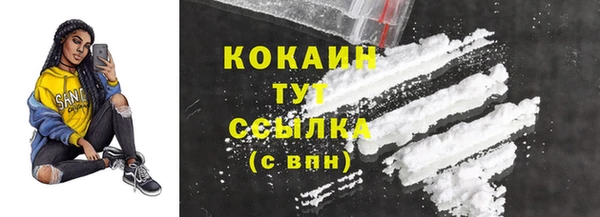 шишки Няндома