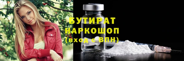 шишки Няндома