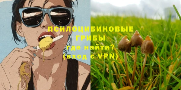 шишки Няндома