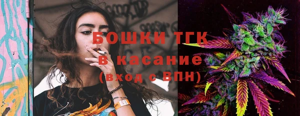 дживик Ельня