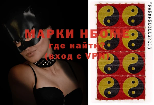 шишки Няндома